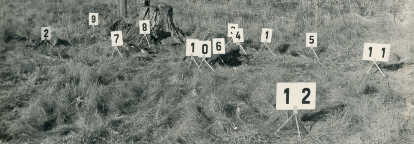 [Das schwarzweiße Fotopositiv zeigt eine Gräserfläche vor einem Waldrand. An diversen Stellen ist das Gras geplättet, es steht recht mittig ein Baumstumpf auf der Grasfläche. Auf kleinen Metallbeinen sind weiße Zahlenkarten mit schwarzer Aufschrift (1 - 12) aus Makierungszwecken aufgestellt.]